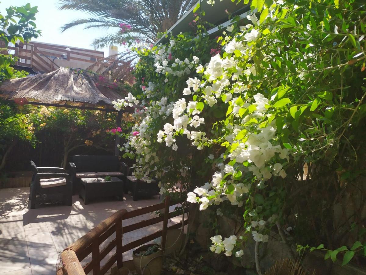 Lotus Turtle Garden Eilat Apartment Exterior photo