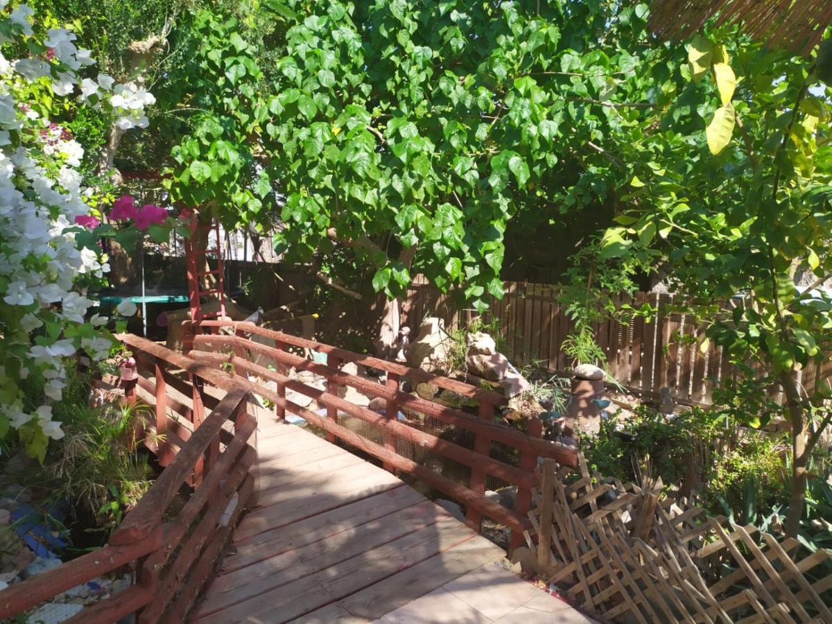 Lotus Turtle Garden Eilat Apartment Exterior photo
